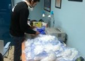 “Arrestiamo il virus”, Rete Solidale consegna il kit igienico-sanitario per gli agenti penitenziari del casa circondariale di Fuorni in Salerno (video)